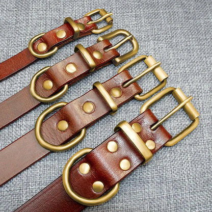 Engraved Leather Dog Collars