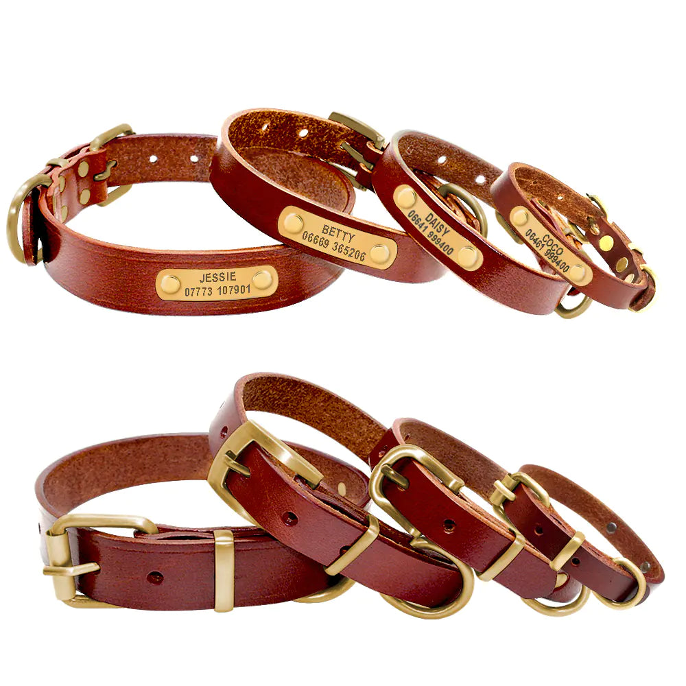 Engraved Leather Dog Collars