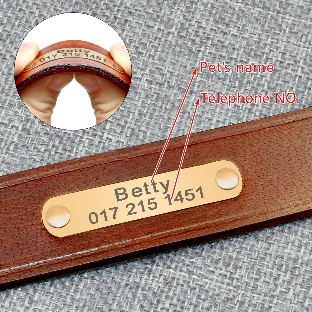 Engraved Leather Dog Collars