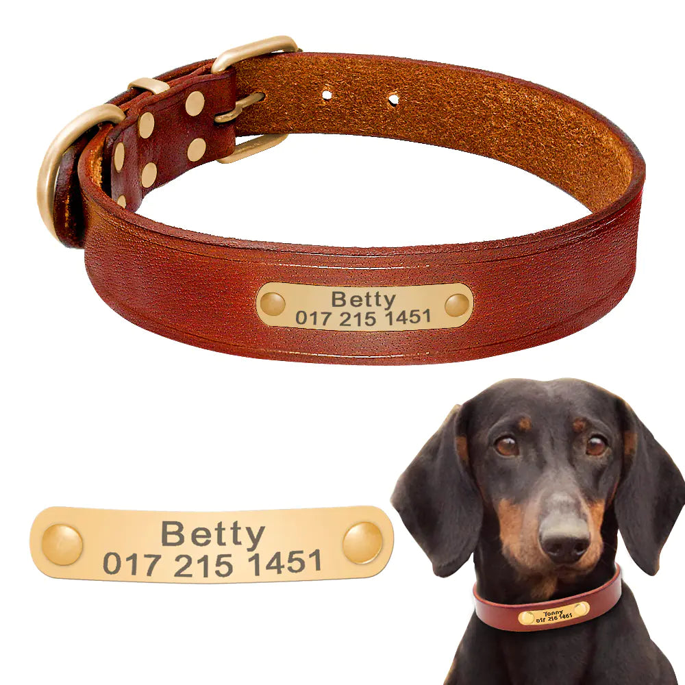 Engraved Leather Dog Collars