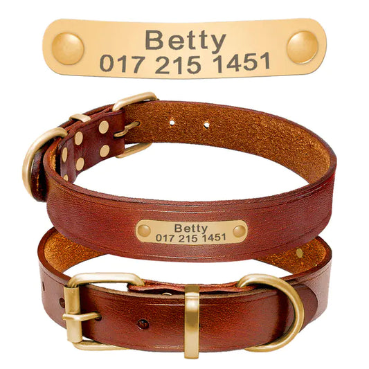 Engraved Leather Dog Collars